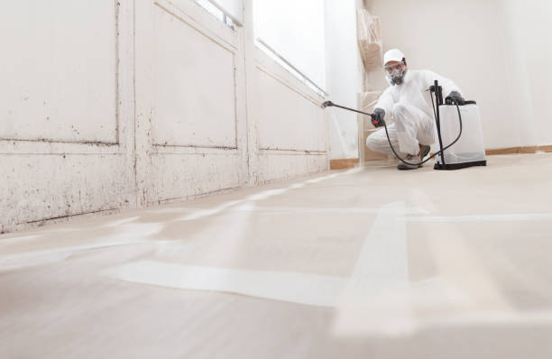24/7 Emergency Mold Remediation experts in San Antonio, TX