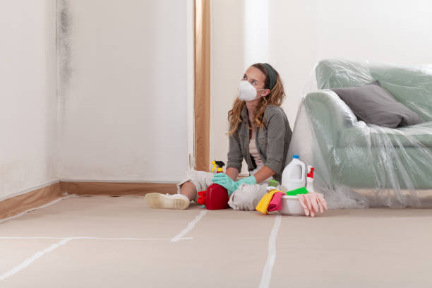 Reliable Mold Remediation contractor in San Antonio, TX by 24 Hour Mold Removal